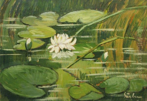 Nenuphars Oil Painting by Gheorghe Sarbu