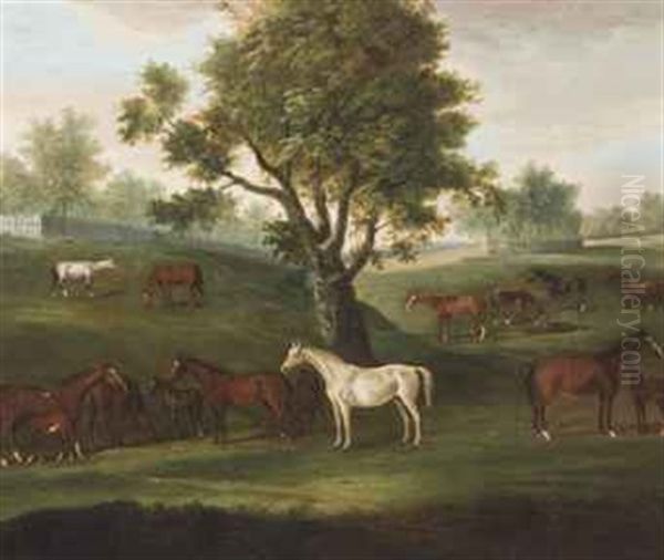 Brood Mares And Foals Grazing Oil Painting by Francis Sartorius