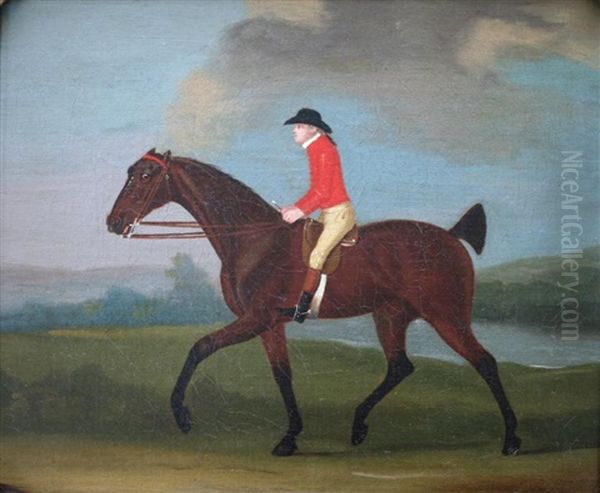 A Groom (george Wellstead?) Exercising A Bay Racehorse Oil Painting by Francis Sartorius
