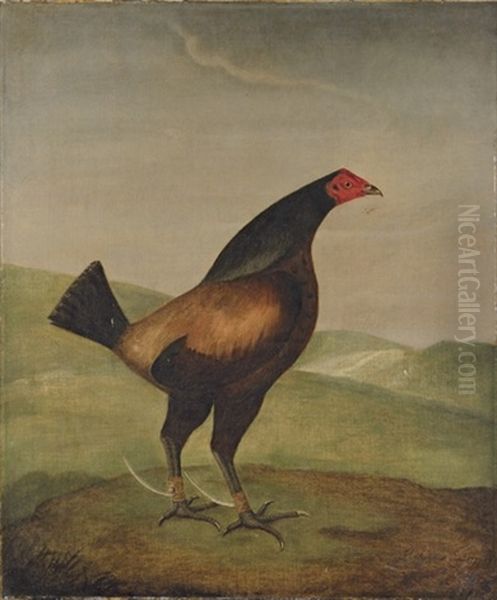 Lord Egremont's "dauntless," A Fighting Cock In A Landscape Oil Painting by Francis Sartorius