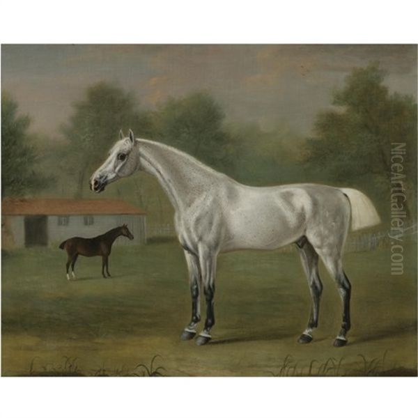 A Grey Horse Oil Painting by Francis Sartorius