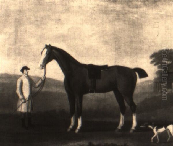 A Colt Out Of 'dorothy' By 'tortoise' Oil Painting by Francis Sartorius