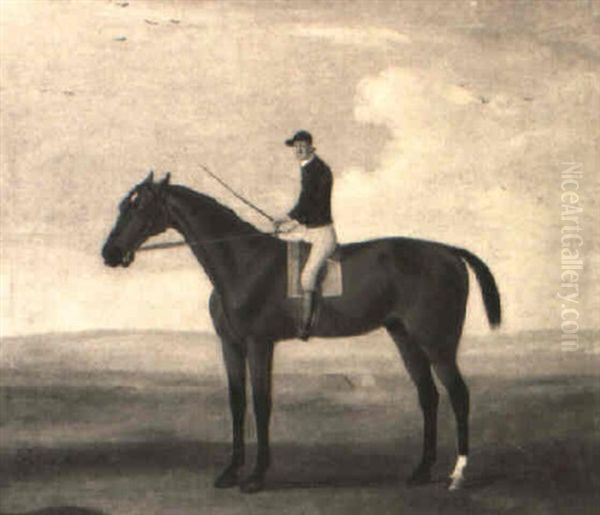Bay Malton With Jockey Up Oil Painting by Francis Sartorius