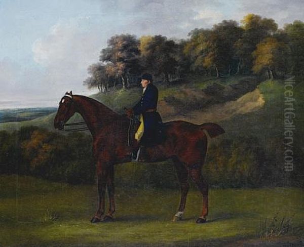 A Bay Hunter With A Rider Up In A Wooded Landscape Oil Painting by John Nost Sartorius