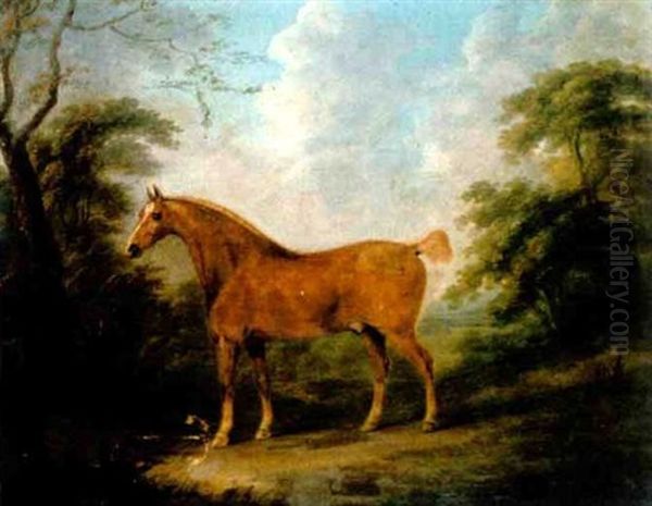 A Chestnut Horse Standing In A Wooded Landscape Oil Painting by John Nost Sartorius