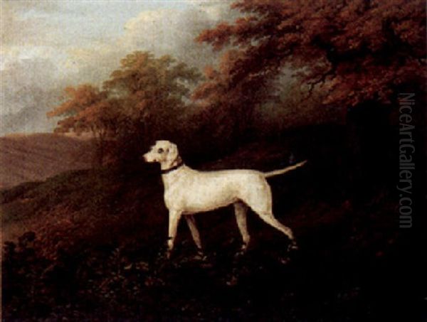 A Pointer Approaching Partridge In A Landscape Oil Painting by John Nost Sartorius