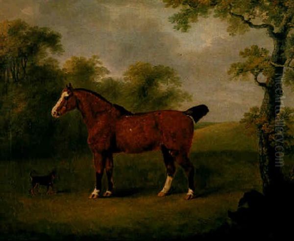 Study Of A Bay Cobb With A Terrier Oil Painting by John Nost Sartorius