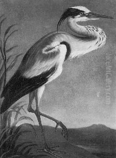 A Heron Standing In A Landscape Oil Painting by Pietre-Neri Scacciati