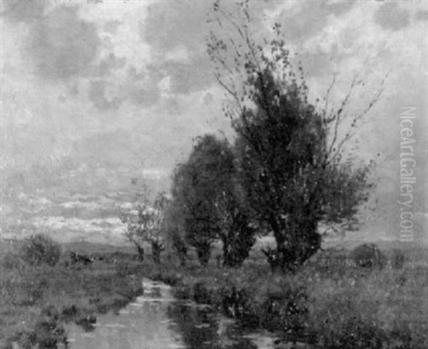 Kopfweiden In Der Abendrote Oil Painting by Carl M. Schaette