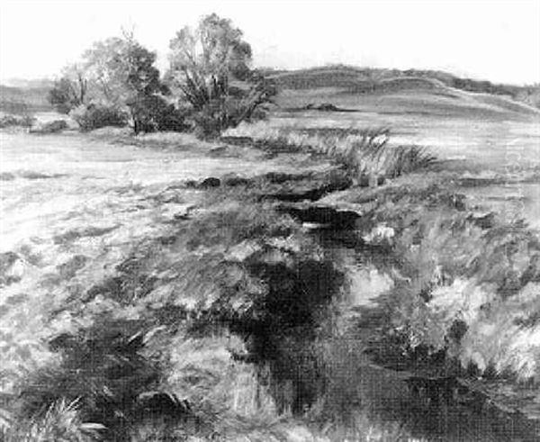 Fruhlingslandschaft Mit Bachlauf Oil Painting by Ernst Schaumann