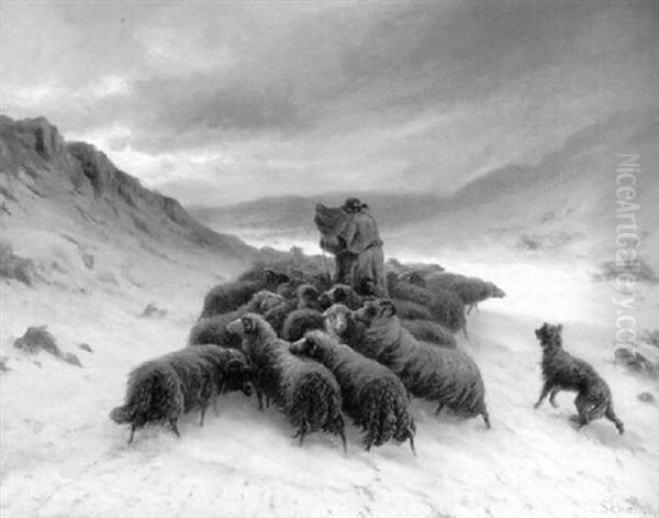 Schafer Mit Herde Auf Verlorenem Weg Im Schneesturm Oil Painting by August Friedrich Albrecht Schenck