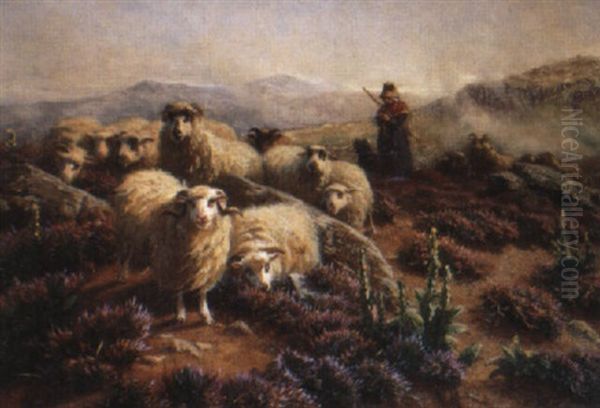 Les Merinos Dans La Montagne Oil Painting by August Friedrich Albrecht Schenck