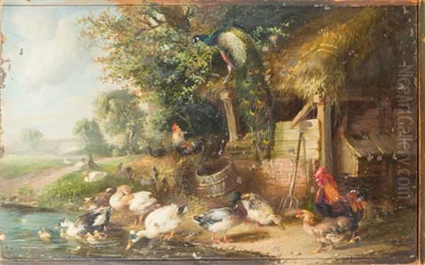 Entenfamilie, Pfau Und Huhner Am Teichufer Oil Painting by Julius Scheuerer
