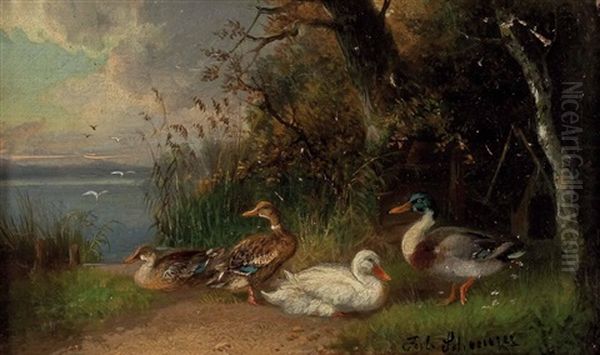 Enten Am See Oil Painting by Julius Scheuerer
