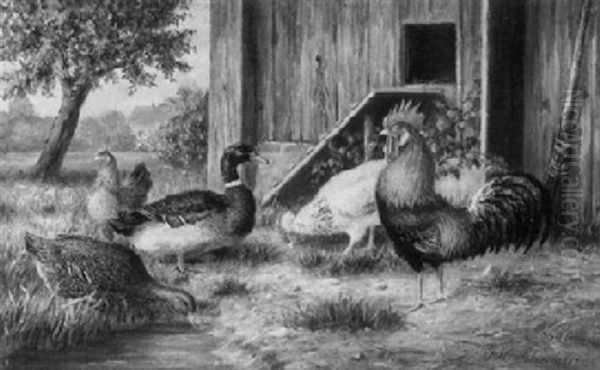 Hahn, Huhner, Erpel Und Ente Auf Der Wiese Vor Dem Stallgebaude Oil Painting by Julius Scheuerer