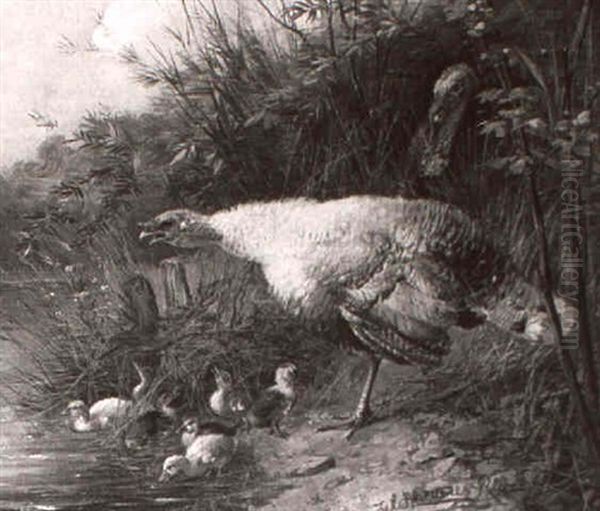 Truthahne Und Kuken Am Verschilften Seeufer Oil Painting by Julius Scheuerer