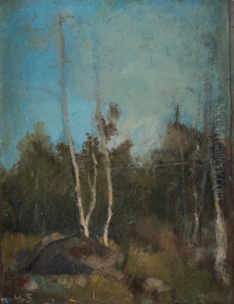 Landskap Med Bjorkar (landscape With Birches) Oil Painting by Helene Schjerfbeck