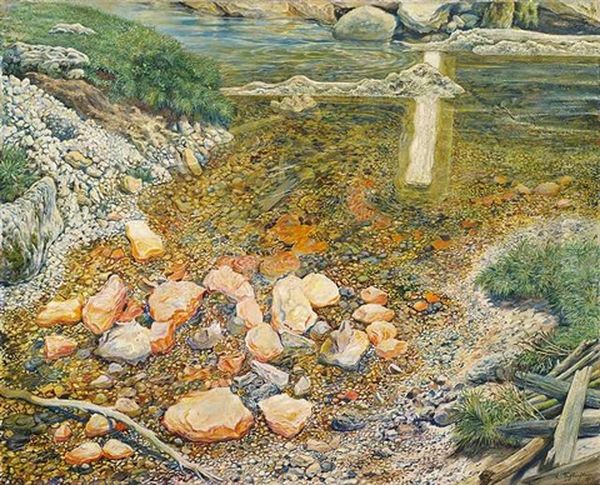 Durch Ein Hindernis Gestauter Bachlauf Oil Painting by Rudolf Schlichter