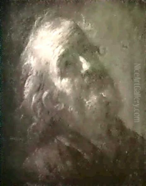 Kopfstudie Eines Apostels Fur Eine Himmelfahrtsdarstellung Oil Painting by Martin Johann (Kremser Schmidt) Schmidt