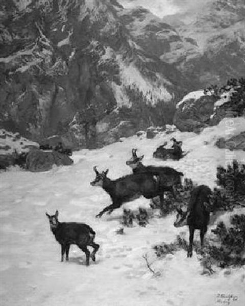 Gemsenjagd In Winterlicher Gebirgslandschaft Oil Painting by Josef Schmitzberger