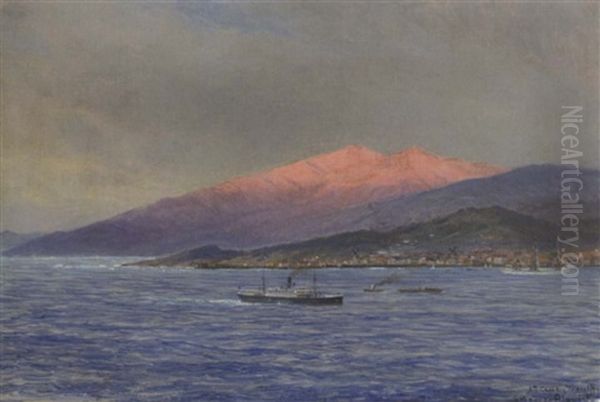 Dampfer Und Andere Schiffe Vor Sta. Cruz, Teneriffa Oil Painting by Carl Wilhelm Hugo Schnars-Alquist