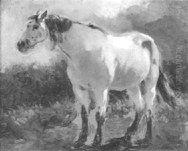 Stehender Falbe Oil Painting by Max Schoedl