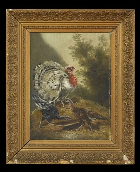 Turkey In The Farmyard (pair) Oil Painting by Henry Schouten