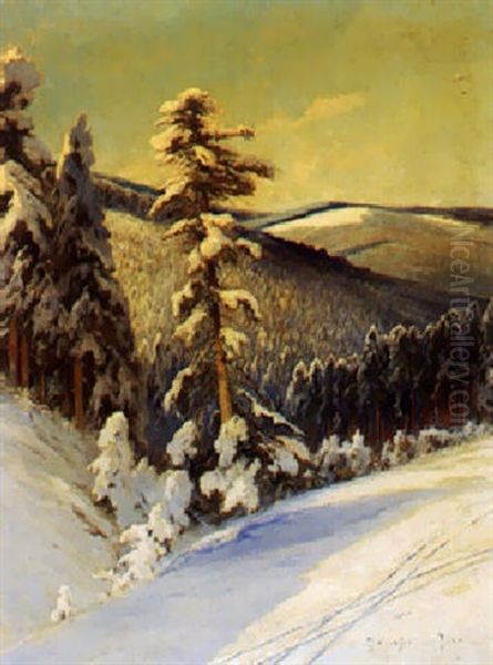 Sneklaedt Bjerglandskab Med Grandskov Oil Painting by Franz Schreyer