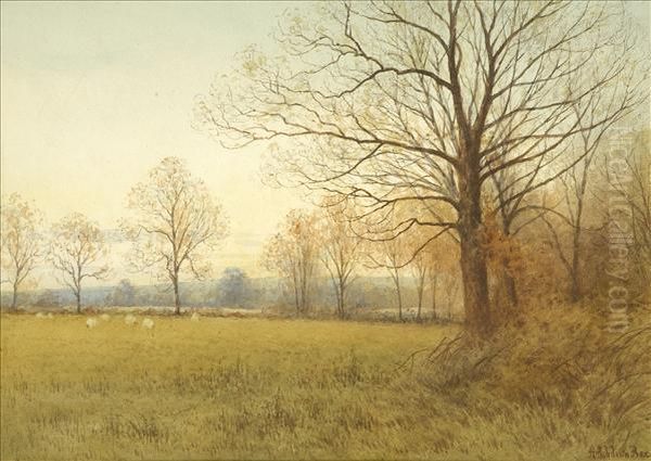 Autumnlandscapes A Pair Oil Painting by Alfred Ashdown Box