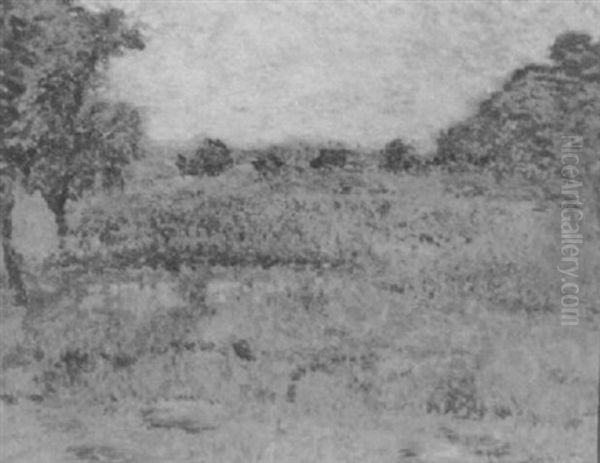 Field Of Flowers Oil Painting by William Schumacher