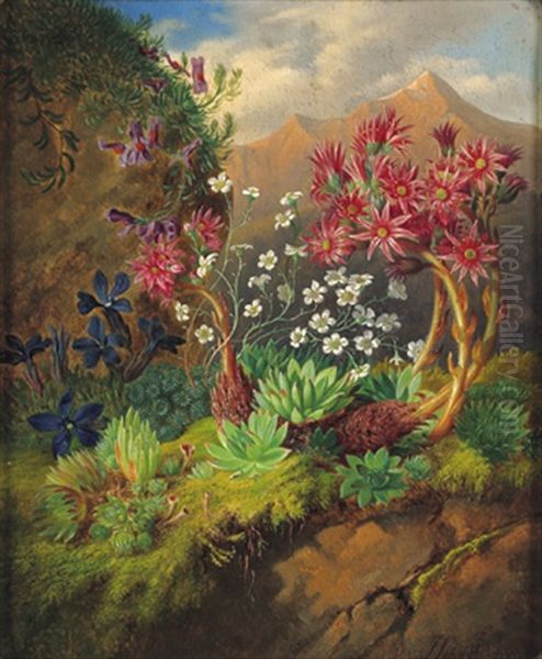 Stilleben Mit Alpenblumen Oil Painting by Josef Schuster