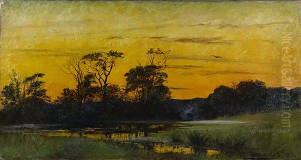 Marais Au Soleil Couchant Oil Painting by Allen Culpepper Sealy