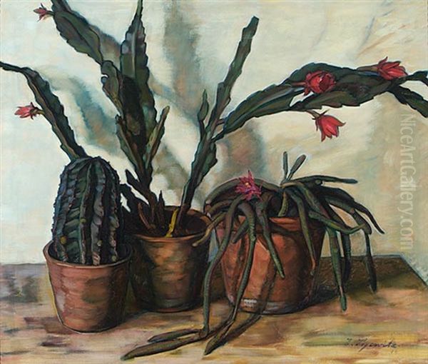 Kakteen Auf Weissem Grund Oil Painting by Karl Eugen Segewitz