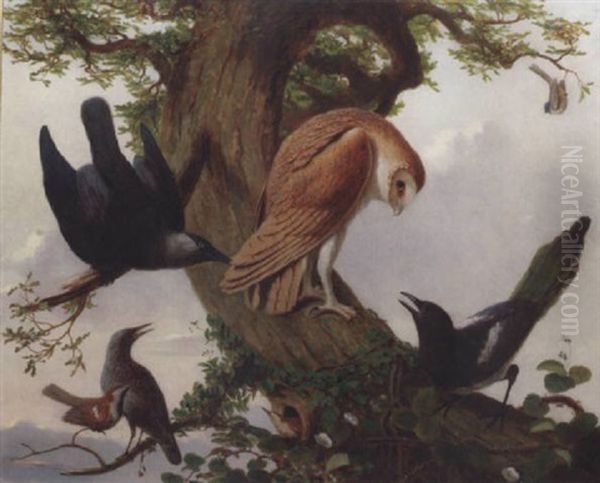 Birds On The Branch Of An Oak Tree Oil Painting by Prideaux John Selby