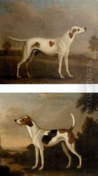 Hounds In A Landscape (pair) Oil Painting by James Seymour