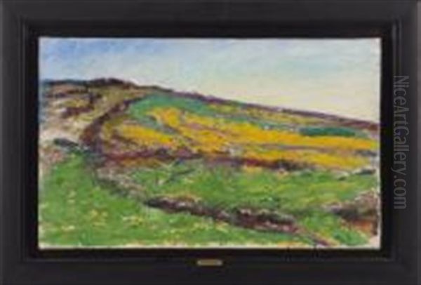 Pente Aux Fleurs Jaunes Oil Painting by Rene Seyssaud