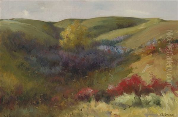 Rolling Hills Oil Painting by Joseph Henry Sharp