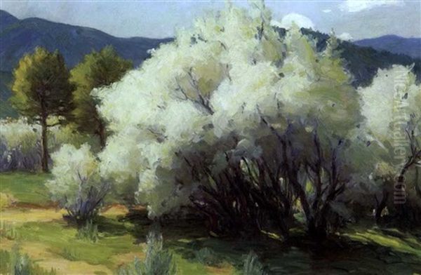 Wild Plum Blossom Near The Pueblo Oil Painting by Joseph Henry Sharp