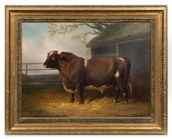 Portrait Of A Bull, 1867 Oil Painting by William Joseph Shayer