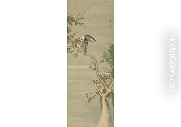 Pomegranate And Bird Oil Painting by Shiseki So Kankaku
