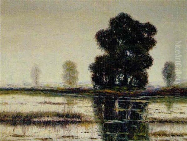 Morgenstimmung An Der Alten Donau Oil Painting by Rolf Sigurd