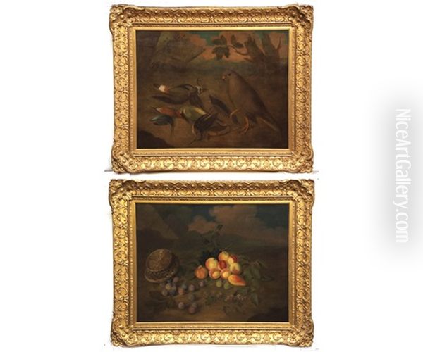 Still Life Studies Of Birds; And Mixed Fruit With Butterfly And Basket (a Pair) Oil Painting by James Sillett