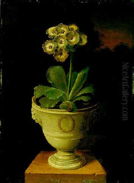 Study Of An Auricula Oil Painting by James Sillett