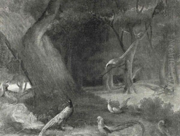 Numerous And Various Species Of Pheasant In A Landscape Oil Painting by James Sillett