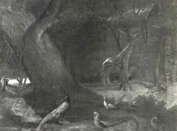 Numerous Species On Pheasant In A Landscape Oil Painting by James Sillett