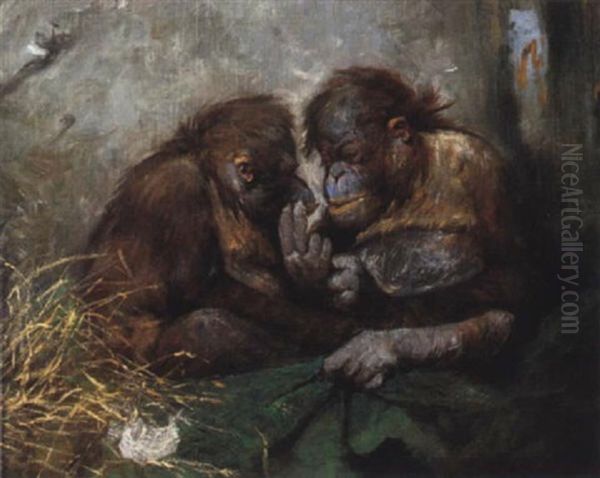 Orang-utang Paar Oil Painting by Imre Karoly Simay