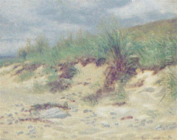 Strandstudie, Parti Fra Helsingor Oil Painting by Simon Simonsen