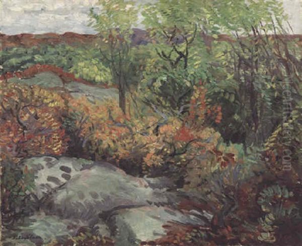 Autumn Rocks And Leaves Oil Painting by John Sloan