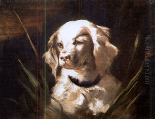Portrait Of A Spaniel Oil Painting by James Fullarton Sloane