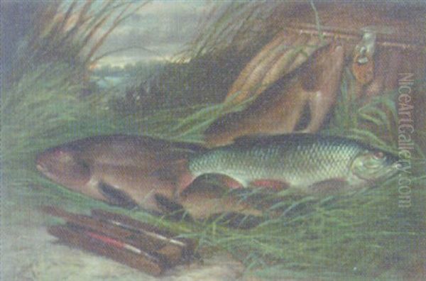 A Pair Of Tench And A Roach With Creel On A Reeded Bank Oil Painting by A. Harold Smith